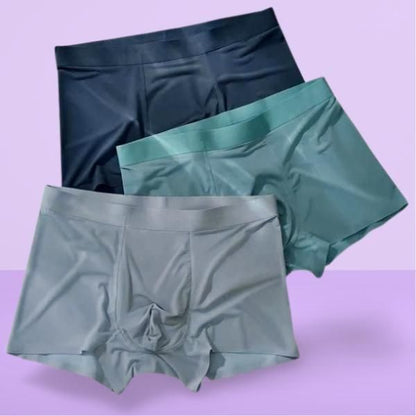 Men's Ice Silk Briefs Boxers (Pack of 3) - AGTO Fashion