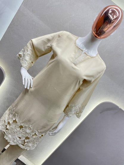 Chinon Fabric Shirt & Pant Set with Elegant Fit | Ready-to-Wear Ethnic Co-ord Set - AGTO Fashion